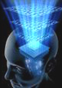 Knowledge Management e Knowledge Sharing nella formazione